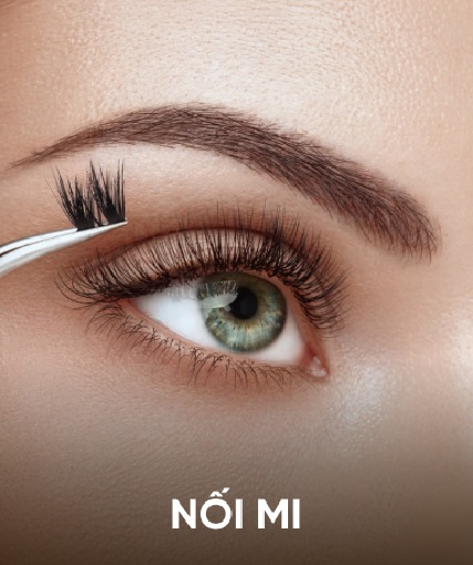 Nối Mi Lọ Lem